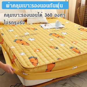 กระโปรงเตียง ไม่มีฟอร์มาลดีไฮด์ ผ้าคลุมเตียง ซักง่าย ต้านเชื้อแบคทีเรียและโรคราน้ำค้าง ป้องกันการเปรอะเปื้อน