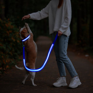 LED light-up Dog leash