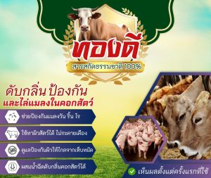 ทองดี น้ำยาดับกลิ่น คอกไก่ คอกหมู ไล่ยุง ไล่แมลงวัน ริ้น ไร เห็บ หมัด ขนาด 2 ลิตร แถมฟรี!! หัวฉีดฟ็อกกี้ 1 ชิ้น ไม่เป็นอันตรายต่อสัตว์  ไล่ยุงคอกวัว