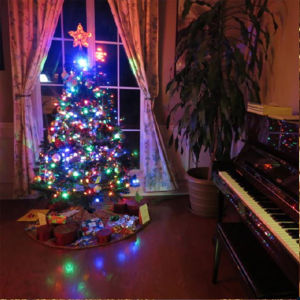 Celebrity Colourful Lights Fairy String Lights Raya Lightings Christmas Ligthing Wedding Xmas Holiday Lights Outdoor Home Decoration 10m 100Leds