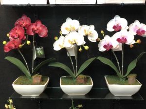 กระถางดอกไม้ปลอม กล้วยไม้ประดิษฐ์ พร้อมกระถาง สำหรับผ่านการดอกไม้ปลอม และกล้วยไม้ประดิษฐ์