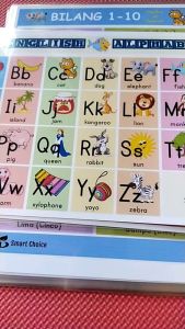 Laminated ABC Alphabet Chart and Vowels and Consonants Chart A4 Size