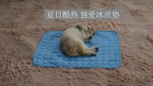 AimayaPet Dog Cooling Mat Summer Pet Cold Bed Pet Bed Floor Mat Spring Summer Dog Ice Mat