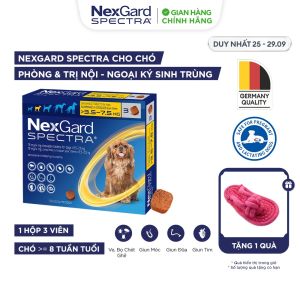 NexGard SPECTRA - Viên nhai phòng & trị nội ngoại ký sinh (ve rận bọ chét ghẻ Demodex Sarcoptes giun) dành cho chó size S (3.5-7.5kg) - 1 hộp 3 viên