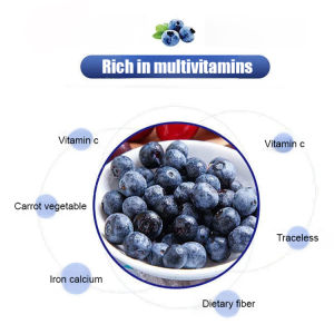 Northeast specialties dried blueberries fivestar small packages of dried fruit snacks