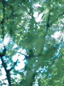 Portable Folding Fan 4 Speed Setting. Rechargeable 7200 mAh USB Personal Retractable Floor Fan with Adjustable Standing Height Camping escopic Fans for Home Office Outdoor Tent Travel Foldable Collapsible