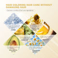 Ashley Shine  Hair Coloring Shampoo Infused With Plant Extracts Easy To Use Hassle Free  Coloring Full Grey Hair Coverage   Hair  Dye  Shampoo. 