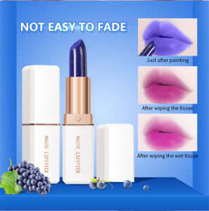 Medona 6 Colors Magic Lipstick: A Comprehensive Guide