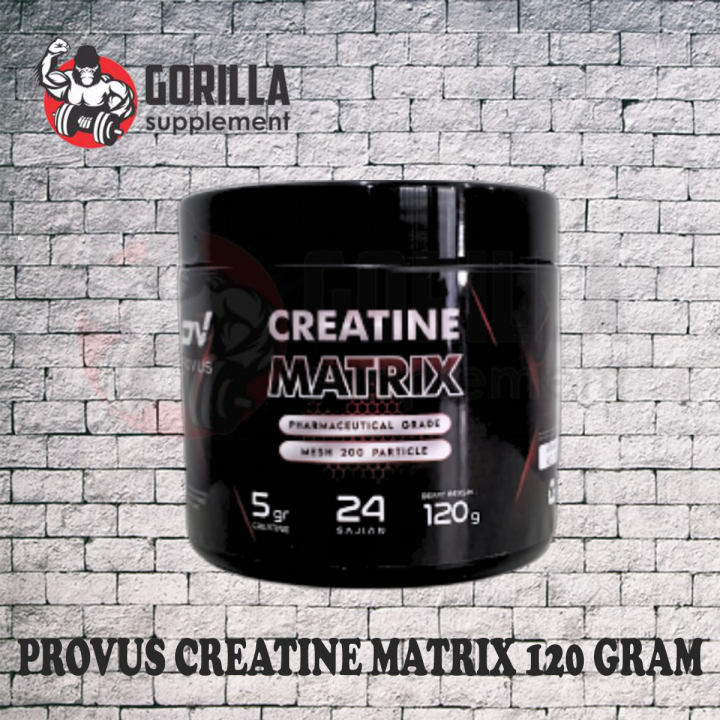 PROVUS Creatine Matrix 120 Gram 24 Serving PV MATRIX MINI