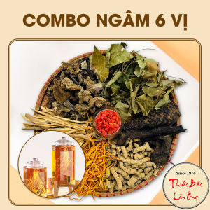 Thang ngâm bổ thận tráng dương ba kích sâm cau nhục thung dung kỳ tử dâm dương hoắc ngọc cẩu - Lãn Ông