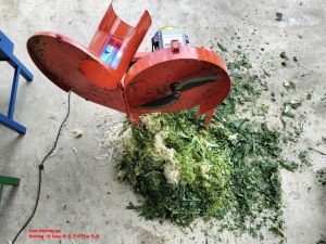 Máy băm chuối thái lát . công suất 15kw