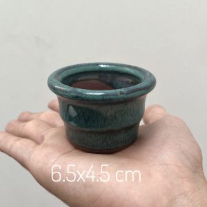 Chậu Bonsai Mini Trồng Sen Đá Xương rồng bằng Sứ