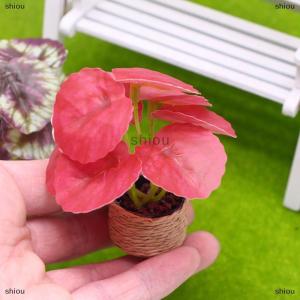 [COD] shiou 1 12 Dollhouse mô phỏng màu xanh lá cây cây trong Chậu mô hình Dollhouse Mini vườn trang trí đồ chơi vi cảnh quan cây cảnh trang trí