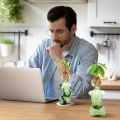 Propagation Vases for Plants Plant Propagation Jars Unique Body Avocado Vase Glass Planter Perfect for Seed Starting, Water Rooting and Home Decor. 