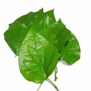 LLCs  LITLIT LEAVES FRESH 100G FOR NGANGA USE