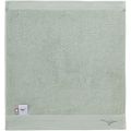 MIZUNO Imabari Face Towel 32JYB137 Light Green. 