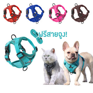 CleverPet สายรัดอกแมวและสุนัข ฟรีสายจูง ระบายความร้อน สายจูงรัดอกสัตว์เลี้ยง Pet Harness