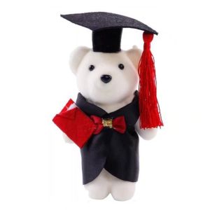CEMOMEF Graduation Season Graduation Bear Doll Celebrate Party Graduation Ceremony Bachelor Bear Plush Toy Funny Commemorative Doctor Cap Bear Toy School Graduate Gifts