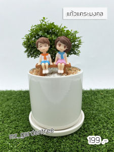[ต้นไม้จริง] บอนไซแก้วแคระมงคล คู่เลิฟ