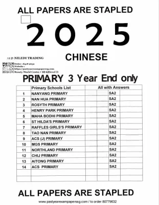2025 Singapore Primary School Past Year Exam Papers | P3 P4 P5 Year-End Examination Papers