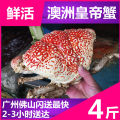 [Fresh Emperor Crab 4 kg] Australia imported aquatic giant king crab ...