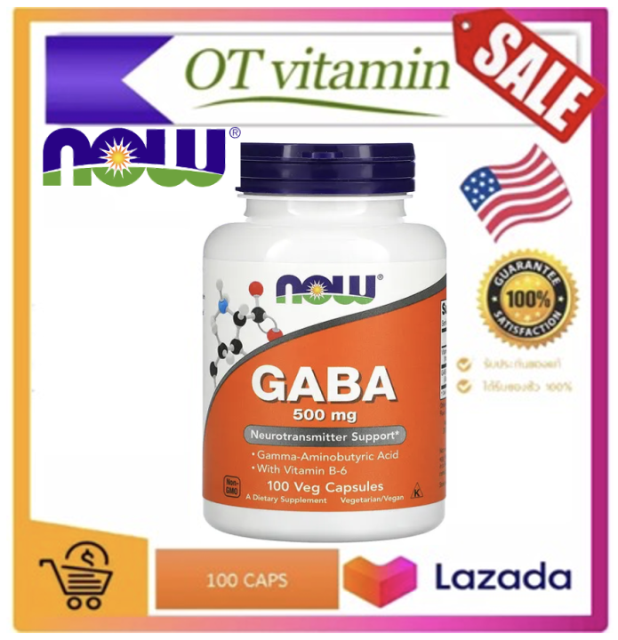 Now Foods, GABA, 500 mg, 100 Veg Capsules,now,now foods,now gaba,now ...