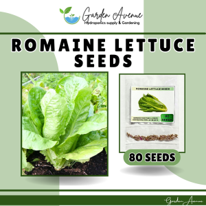 SULIT PACK! ROMAINE LETTUCE (80pcs seeds) PARIS ISLAND COS/HYBRID/EASY TO GROW