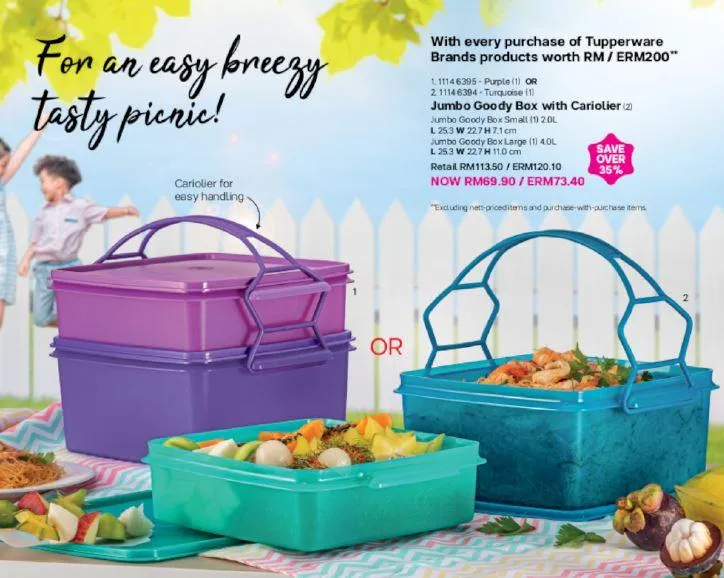 Tupperware small goody box with 2025 cariolier price