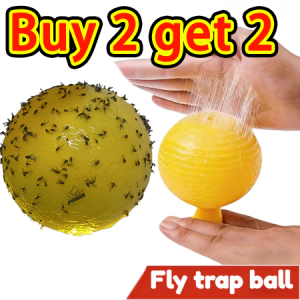 Buy 2 get 2 Efficient Fly Killing Bait Powder Fruit Fly Flying Insect Cockroach Trap Killer