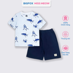 Bộ cotton bé trai Bigfox Miss Meow size đại cộc tay mùa hè in cá mập cỡ 37911 tuổi 30kg 40kg