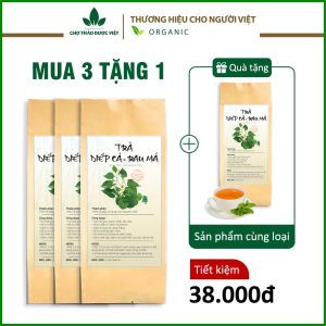 Trà diếp cá rau má túi lọc hỗ trợ giải độc gan tốt cho sức khỏe bịch 30 túi lọc x 3g - Chợ Thảo Dược Việt