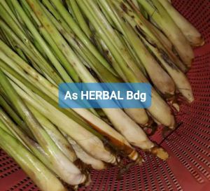 Jual sereh serai segar 500 gram-az