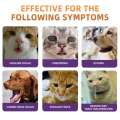 LovinlandMedicine Anti FLU Colds Cough Treatment Beler Sallow Paint Kitten Puppy Dog Cat Cold Medicine. 