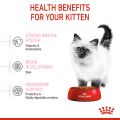 Royal Canin Kitten (10kg) Dry Cat Food - Feline Health Nutrition. 