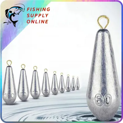 10pcs Lead Fishing Sinker Fishing Shaped Weights Casting Sinkers Weight Fishing Tackle Accessories