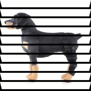 Dog Post-Surgery Hind Leg Support Brace Knee Splint for Recovery Walking Aid