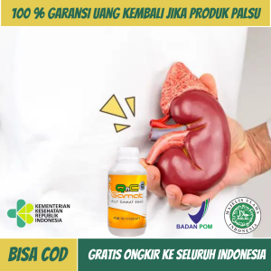 Obat Batu Ginjal Obat Ginjal Bocor Obat Ginjal Bocor Anak Obat Penghancur Batu Ginjal Obat Gagal Ginjal Bengkak Obat Sindrom Nefrotik Obat Peluruh Batu Ginjal Obat Kencing Berbuih Berbusa Dengan Qnc Jelly Gamat