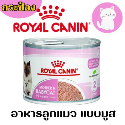 [แมวกระป๋อง] Royal Canin โรยัลคานิน Babycat & Mother อาหารแมวเปียก กระป๋อง