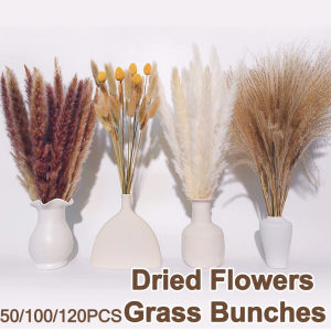 QUIVLOX 50/100/120PCS Dried Pampas Grass Bouquet Boho Feathers for Wedding Decor DIY Vase Fillers Natural Reed Home Decorations