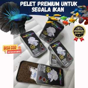 pelet ikan cupang pakan ikan cupang premium pf-500 for mutation color fish 50gr