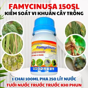 FamycinUSA 150SL – Kiểm Soát Bệnh Vi Khuẩn Trên Rau Màu Ớt Cà Chua Cải – Phục Hồi Nhanh Loang Trải Mạnh