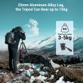 SmallRig 72" Chân máy du lịch nhẹ có thể gập lại Monopod có đầu chất lỏng (Tải tối đa 3kg) Chân khóa núm hợp kim nhôm Chiều cao có thể điều chỉnh từ 43cm đến 188cm để phát trực tiếp Vlogging Máy ảnh Dslr Điện thoại di động 3760. 