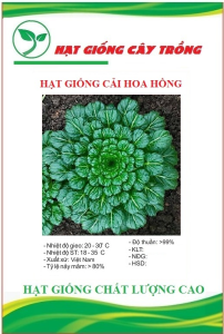 Hạt giống rau cải hoa hồng xanh  CT5576 - 1 gói 0.5gram