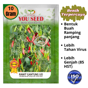 Benih Bibit Cabe Rawit Hijau Merunduk GANTUNG IJO 10 gr Cap You Seed
