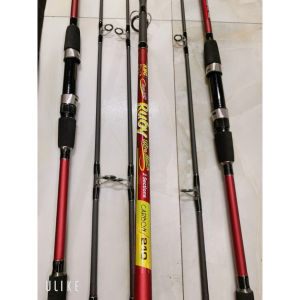 Cần Câu 2 Khúc Carbon Rỗng
