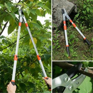 กรรไกรตัดกิ่ง กรรไกรตัดกิ่งด้ามยาว ที่ตัดกิ่งไม้สูง Lopper Shears ส่งจากกรุงเทพ