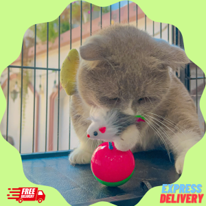 ĐỒ CHƠI BÓNG CHUỘT LẬT ĐẬT CHO MÈO