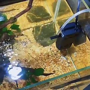 SOBO Aquarium Internal Filter Pump 3 in 1 Multi Function Internal Submersible Filter Pump WP-1105f