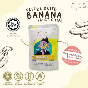 HANYA Baby Food Freeze Dried Fruit Chips Yogurt Bites (Halal)