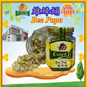 YMY Store Giant B Bee Pupa 雄蜂蛹 Health Supplement 20gm
